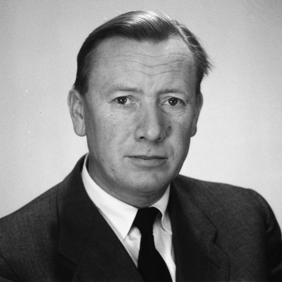 Viksjo web