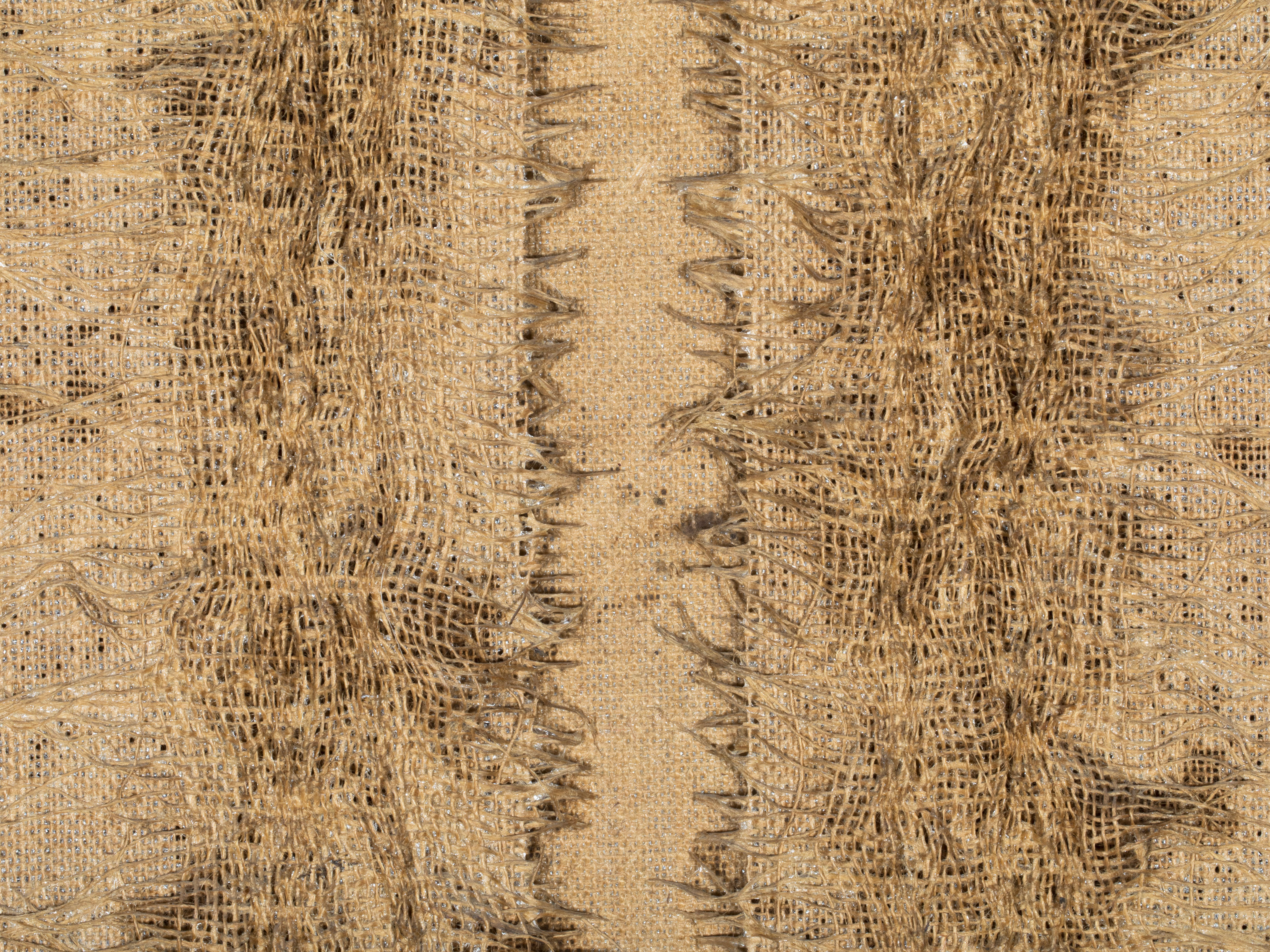 9736 G5 A1172 web
